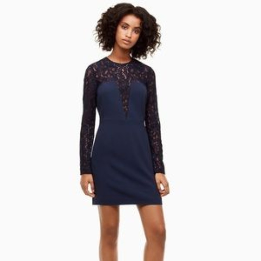 Aritzia Babaton Masaki Dress